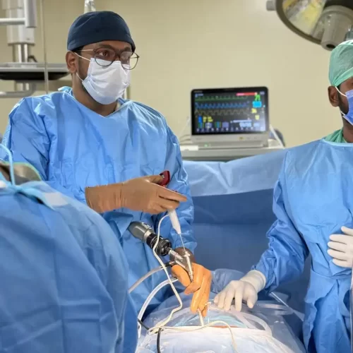 WhatsApp Image 2024-12-28 at 8.30.01 PM(1)